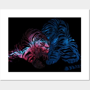 Space tiger cuddles Posters and Art